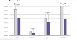 Pay Gap in Occupation 