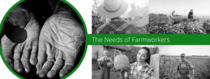 The Needs of Farmworkers 