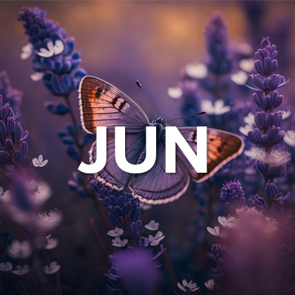 Butterfly with the word June superimposed