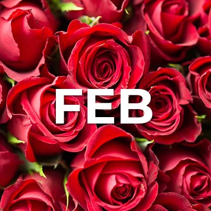 February New Certifications