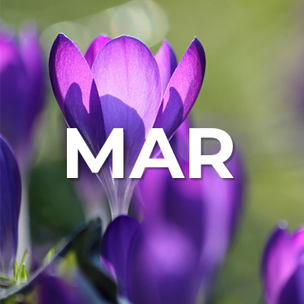 March New Certifications