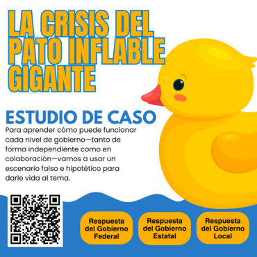 La Crisis de los patitos 