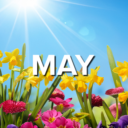 May 2025 New OMWBE Certifications