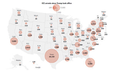 US ICE Statistics