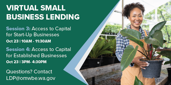 Virtual Small Business Lending