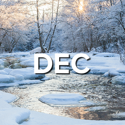 a river with snowy banks surrounded by trees with the text December superimposed