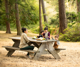 WA Parks