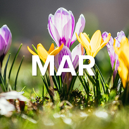 View March New Certifications