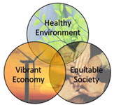 nvironment and Sustainability