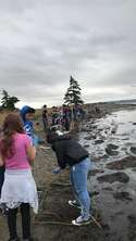 students investigating on a beach right at the shoreline