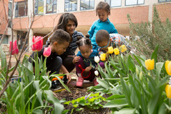 Teacher in garden with four pre-school kids