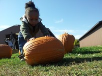 Little girl playing with a pumpkin
