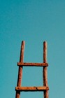 photo of a ladder