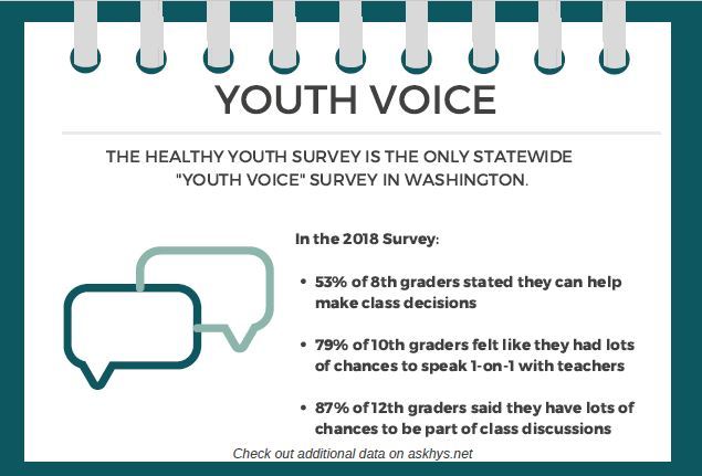 healthy youth survey graphic