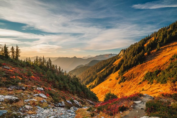 Photo of Mount Baker in autumn