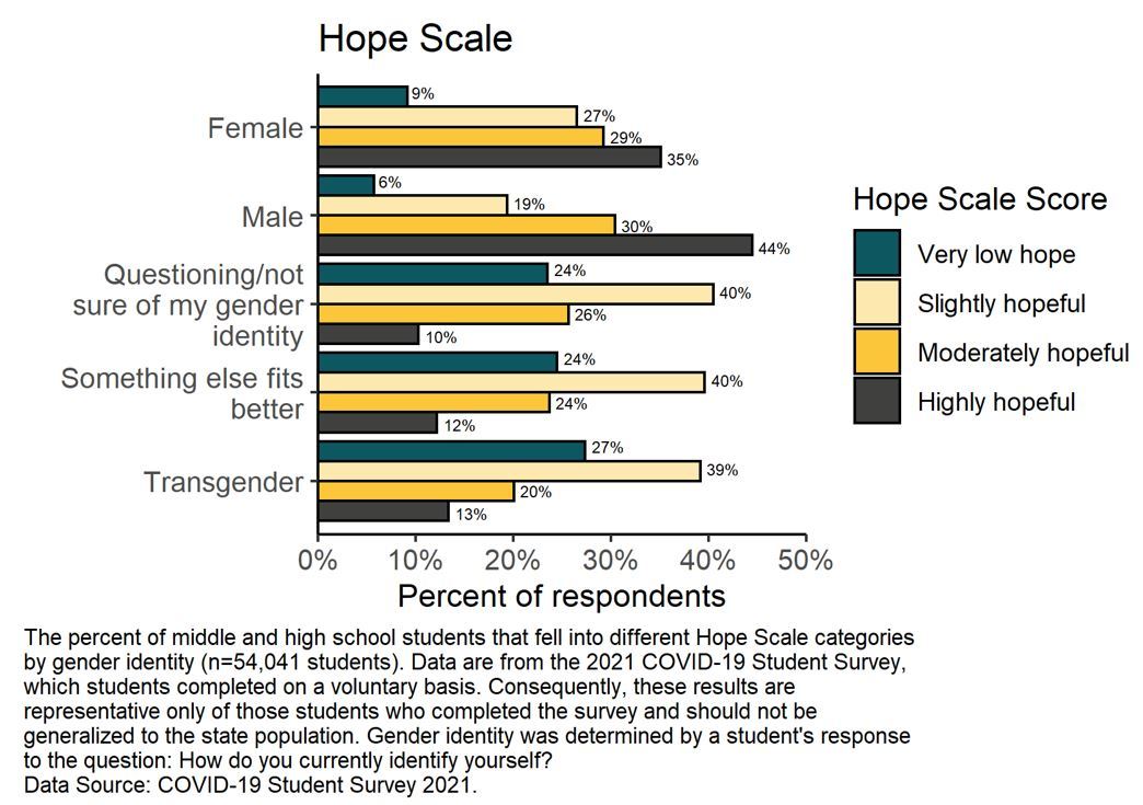 Hope Scale Data Gender