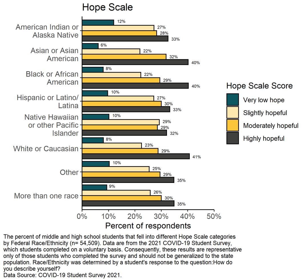 Hope Scale Data Race/Ethnicity