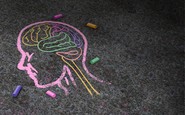 chalk brain