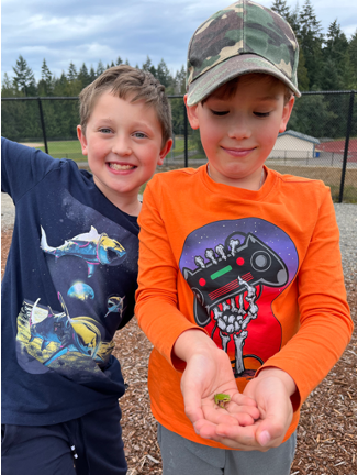 Two students catch frogs in their school garden.
