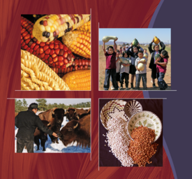 American Indian Perspective on Thanksgiving