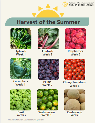 harvest of the summer