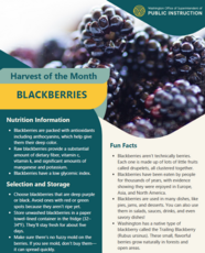 harvest of the month blackberries