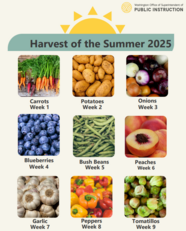 harvest of the summer calendar