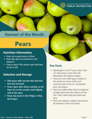 harvest of the month pears