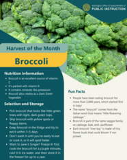 harvest of the month broccoli