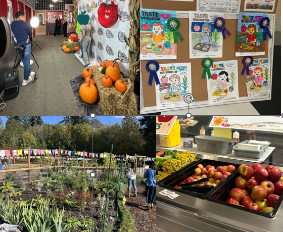 dieringer taste wa day