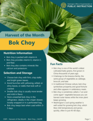 bok choy