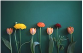 picture of flowers