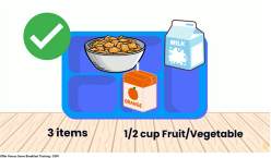 ovs video screen shot