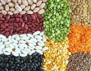 beans