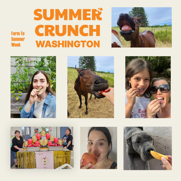summer crunch celebration