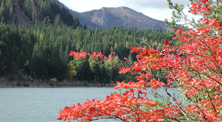 Lake Easton