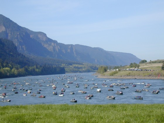 Fishing boats on river
