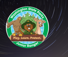 Junior ranger badge