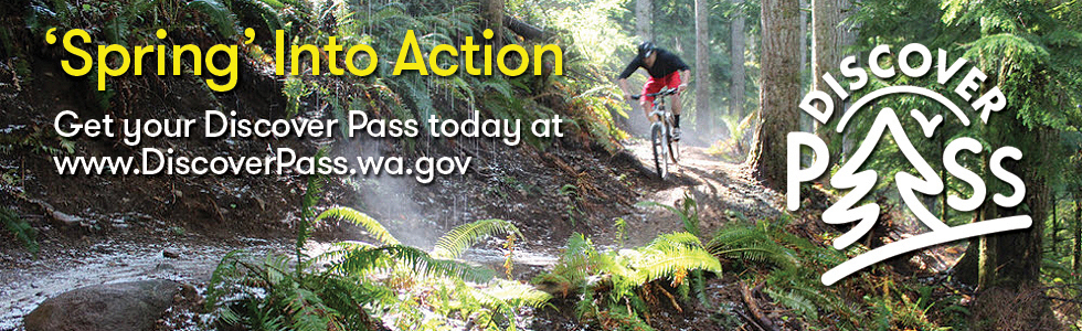 Spring into action_mountain biker