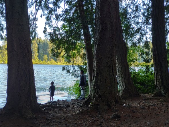 Father and son fishing by a lake in Millersylvania State Park