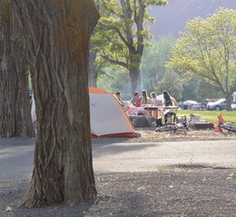 Campers around a tent in the sun, with trees in the foreground