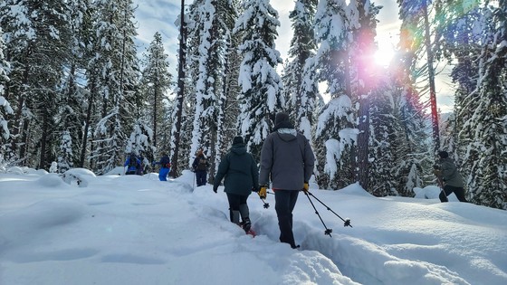 First Day Hikes 2023