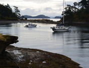 Boats anchored in the bay at Patos Island, San Juans, on a winter day.