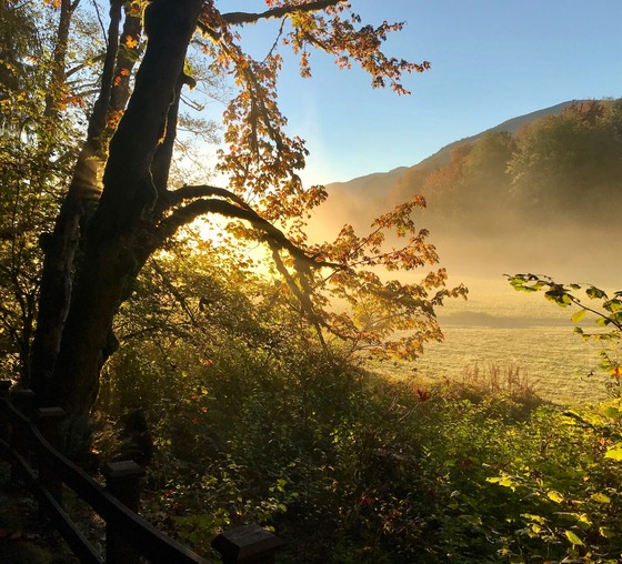 Fall road trip