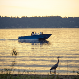 A boat floats in a lake at sunset, and a great blue heron stands in the foreground at Lake Samammish.