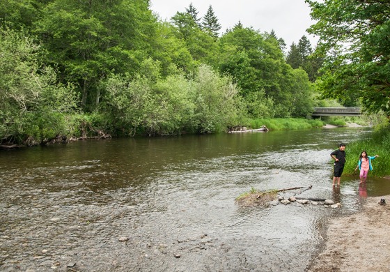 Two children wade in the Satsop River at Schafer State Park