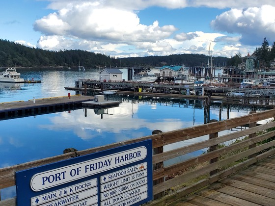 boats at a dock in a marina