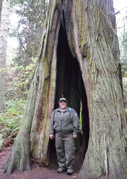 Ranger Bethany standing within a hallowed-out tree 