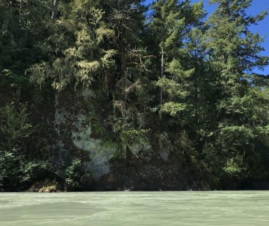 running river and trees at Nisqually State Park