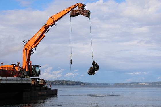 Washington Department of Natural Resources project to remove underwater tire piles at Tolmie State Park